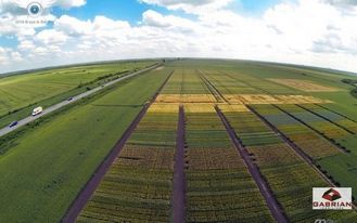 Terenuri De Vanzare In Satu Nou 0 Anunturi